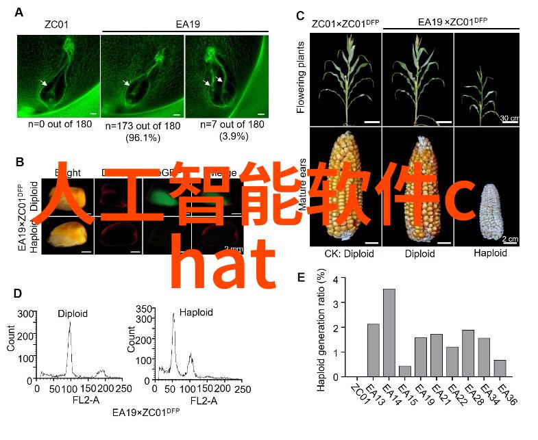 中国家庭装修网指南如何选择一流的整体衣柜厂家