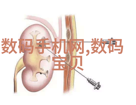 数码宝贝03樱花动漫日语版我来跟你聊聊这部超级火的日文动画