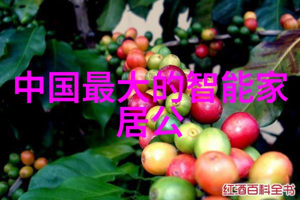 探秘榴莲app福引导大全解锁甜蜜生活的秘密