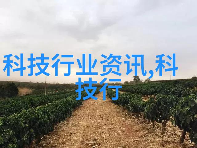 机器视觉网-深度学习革命如何构建高效的智能图像识别系统