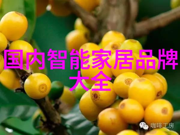 IC卡的安全与便捷新时代支付的选择