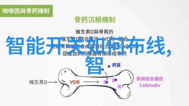 中央部委排名顺序我是如何揭开官场晋升秘密的