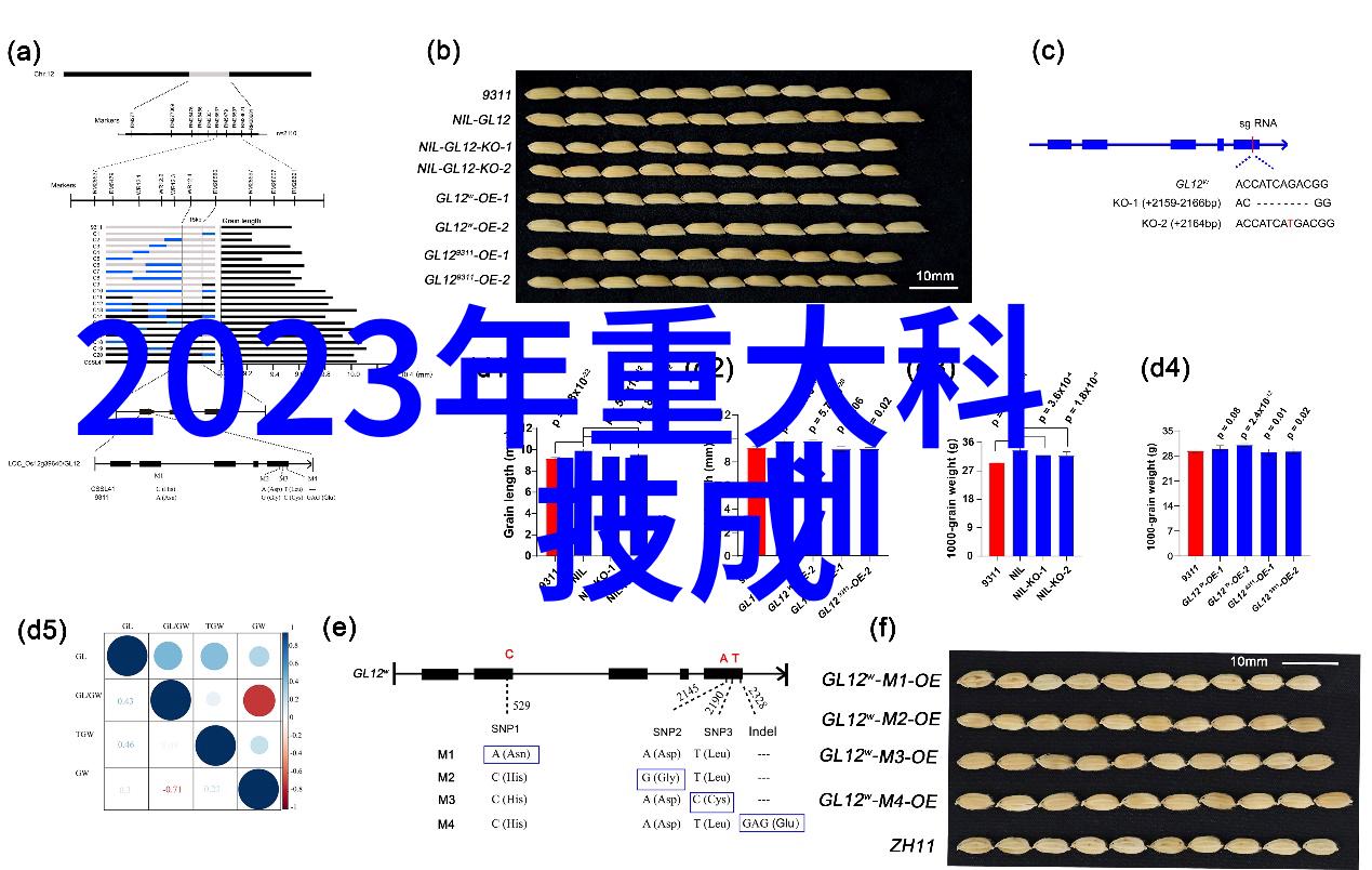 高效清洁革命快速消毒灭菌器如何改变我们的生活方式