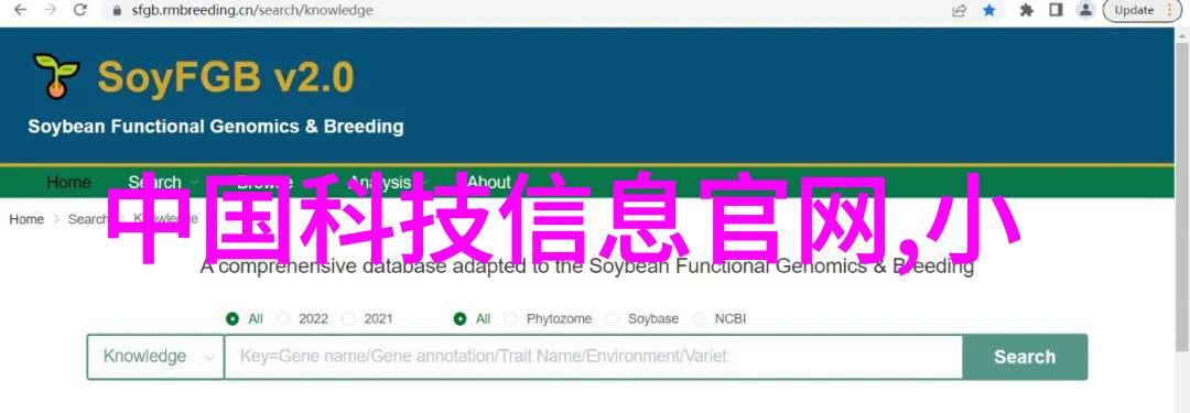 数码印刷与普通印刷行业新趋势与技术差异深度解析