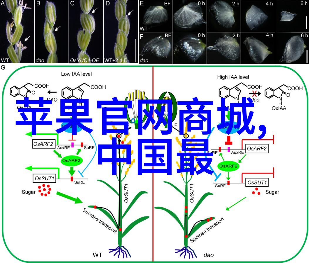 青山绿水映衬家居美临沂装修公司的艺术触手可及