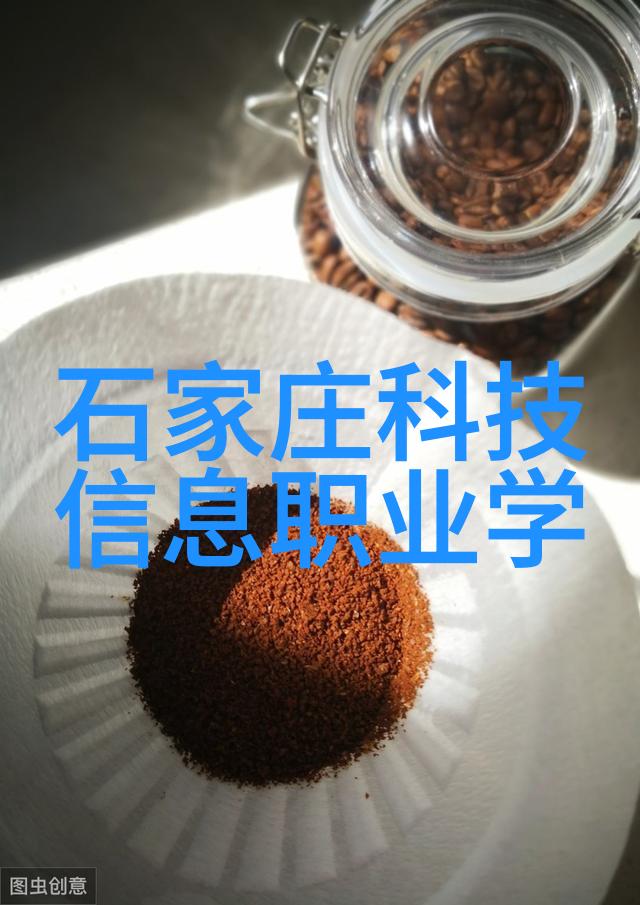 乱堆填料与规整填料特性研究对比分析及其在土木工程中的应用探究