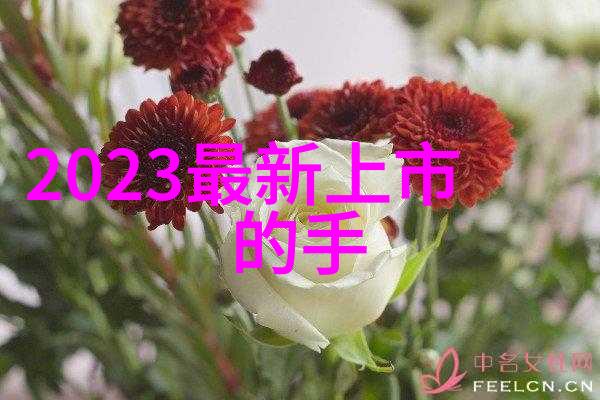 无忌摄影论坛探索视觉叙事与艺术表达的新境界