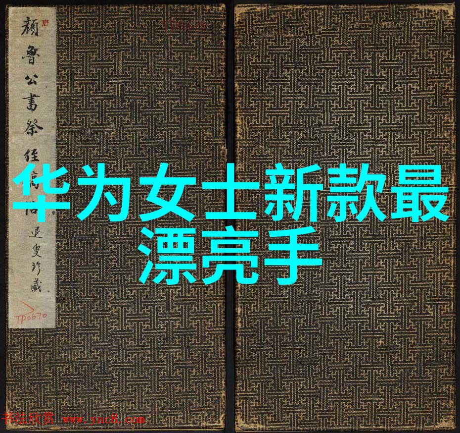 双轴螺旋输送机生产厂家介绍布袋除尘器内部详细构造图展示其精湛工艺