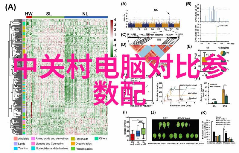 竞争激烈的画卷舞台预测哪些项目会抢走焦点在2022年度比赛中