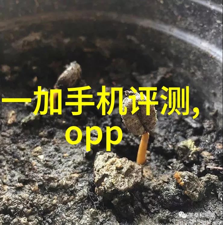 医疗高压灭菌设备厂的秘密揭开搅拌罐系列的神秘面纱