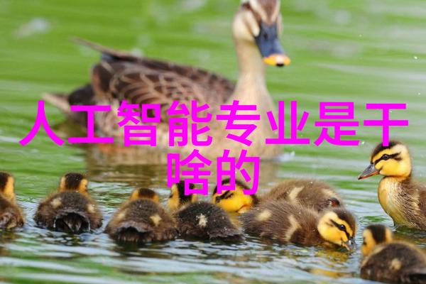 卫生间防水施工工艺流程防水预处理防水材料选择基层处理防水膜铺设边角处理检查验收