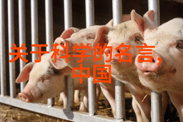 发哥旗舰神U引入生物芯片技术推出原神新版本为社会带来平民化游戏体验的创新步伐