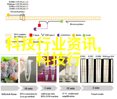 家居生活的艺术简约客厅装饰大师班