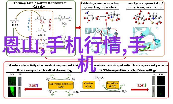 空气的秘密压缩机的奇妙运作