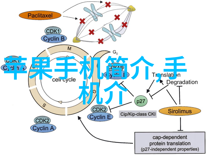 索尼新机型全新的影像和音频体验