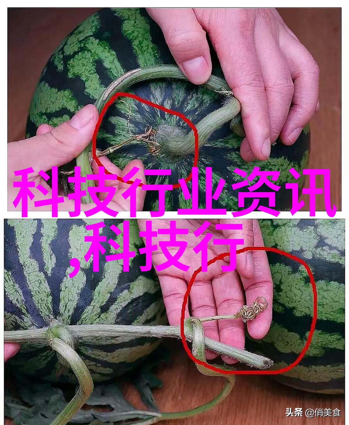 主题我是如何拯救我的老电机设备的