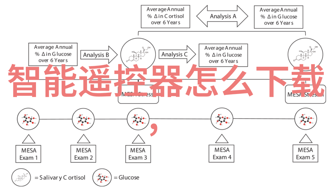 大学摄影专业必备设备概览