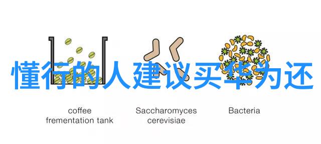 兔狗家装艺术创意空间与宠物友好的融合