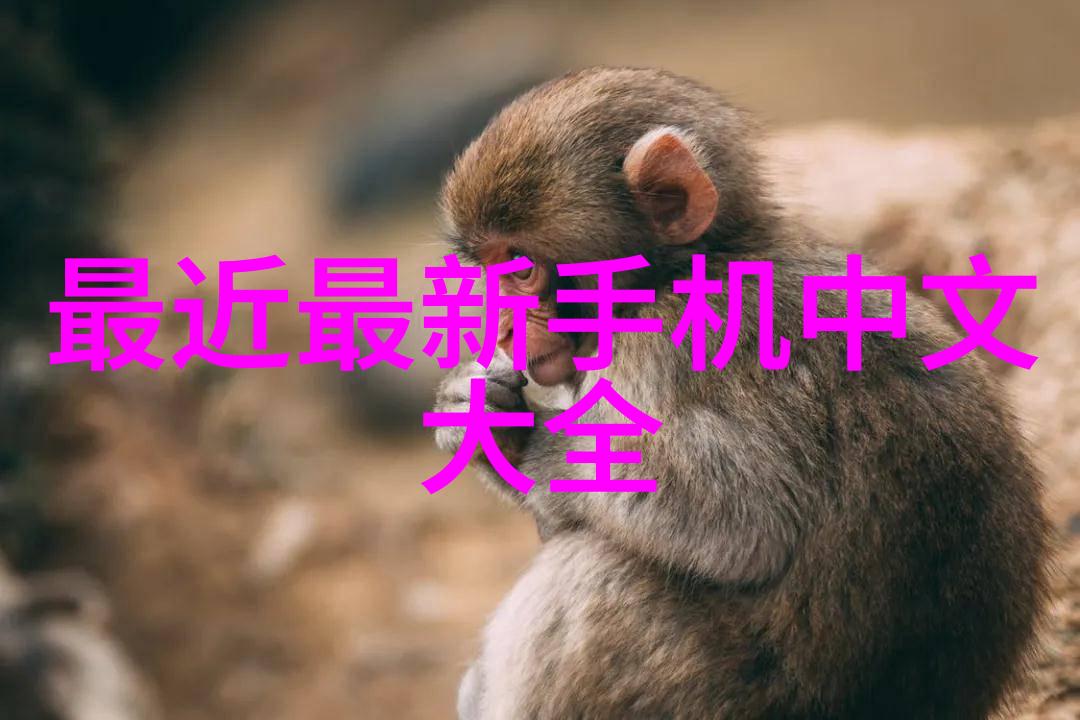 亚马逊云科技我是如何在云端大师之路上遇见亚马逊的