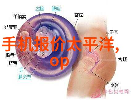 2023年最佳相机排行榜