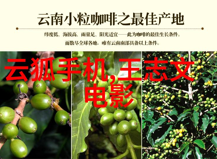 不锈钢波纹填料在现代工业应用中的研发与供应现状探究