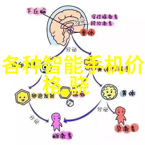 亲子乐园在家一层二层都能玩转