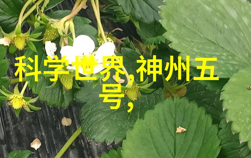 别墅外观设计有哪些创意点子可以增强其美感