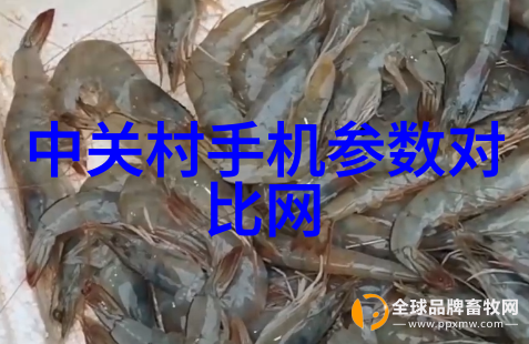 摄影新闻网站-焦点前沿探索全球最佳摄影新闻网站