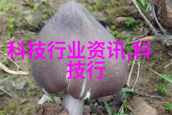 案例研究成功实施的工業純水EDI項目案例分享