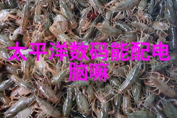 秘密材料未知金属的奇异力量