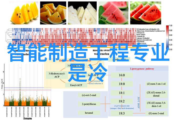 深耕地下地埋式一体化污水处理设备的革命性应用