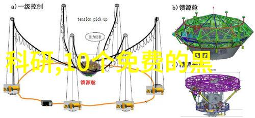 中国XXXXXL15仙踪林探秘数字森林的奇迹与挑战