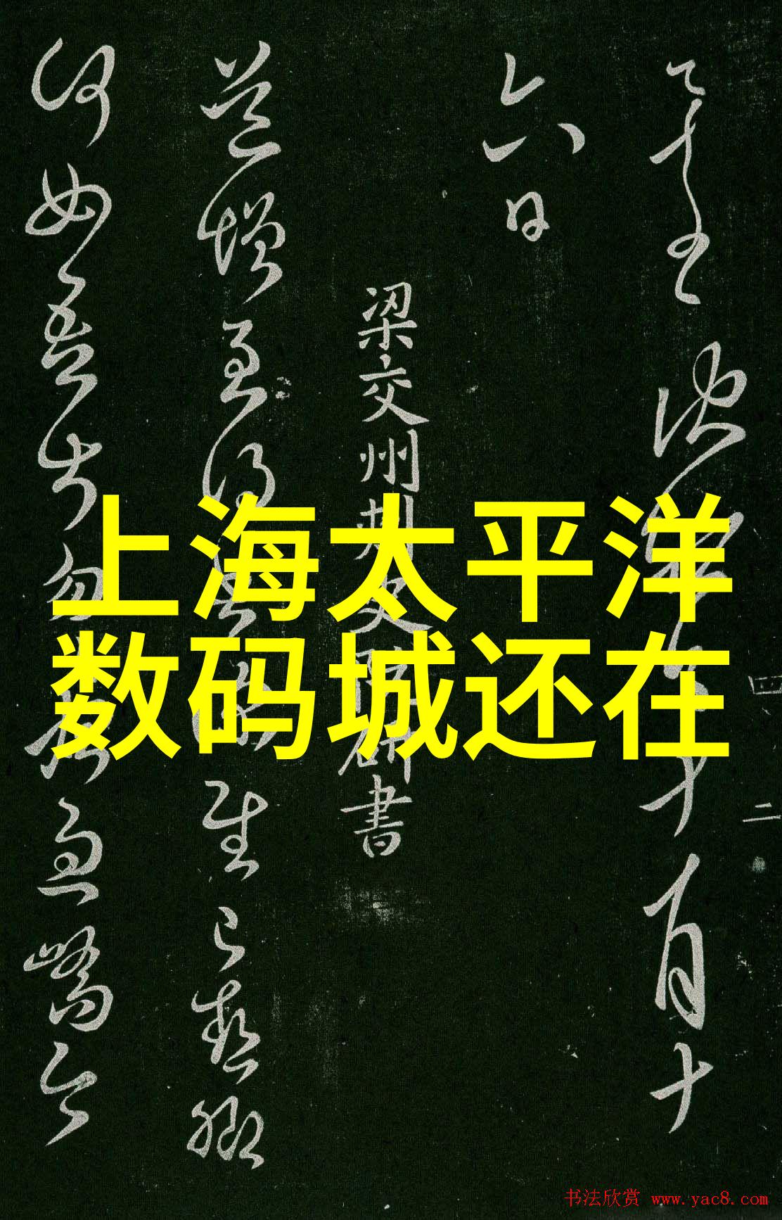 主体水电预埋费用解析一平方米的真实成本是多少