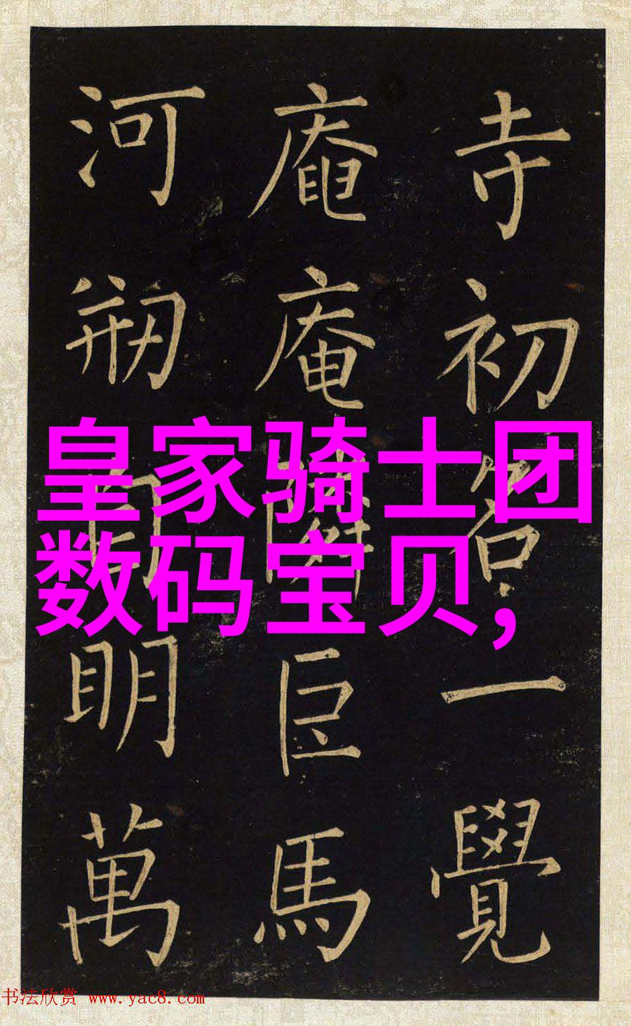 高效宣传报道照片拍摄技巧提升视觉冲击力与信息传达