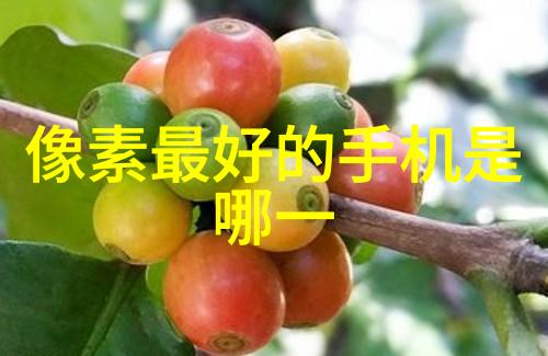 探索苹果6s Plus强大性能与精致设计的完美结合