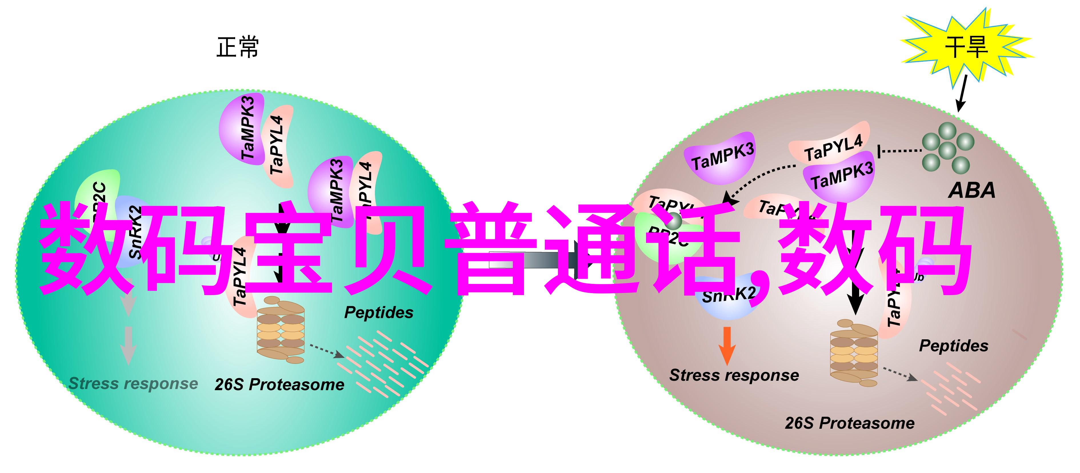 家庭自动化对智能家居技术有什么影响