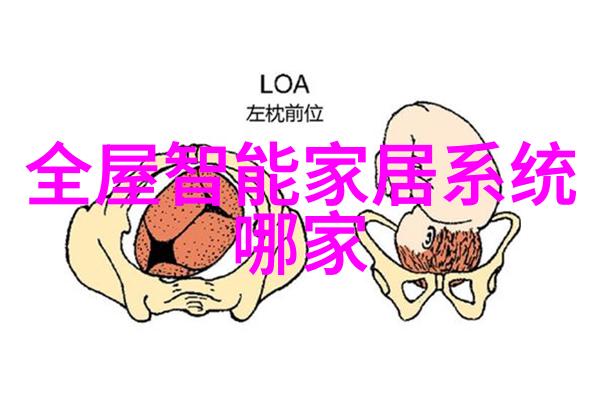 科技与艺术并进山东外国语职业技术大学双创教育模式