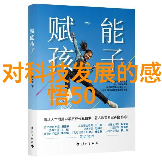 豪宅重塑从简约至奢华的装饰艺术探索