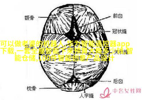 现代科技感元素