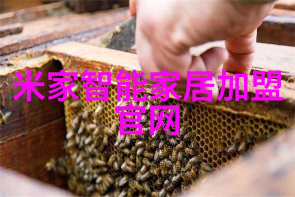 建筑施工工具-安全高效的扣件式脚手架使用与维护