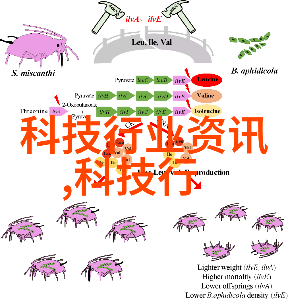 水利水电技术革新与可持续发展战略未来水利水电的创新与环保方向