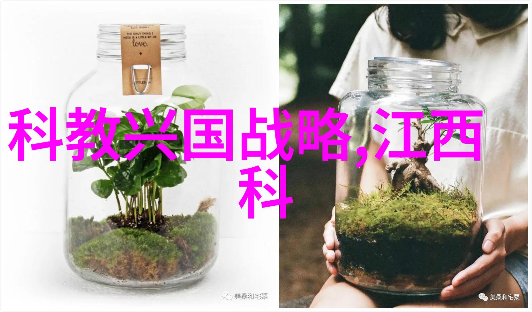 春日绽放铃兰花的诗意篇章