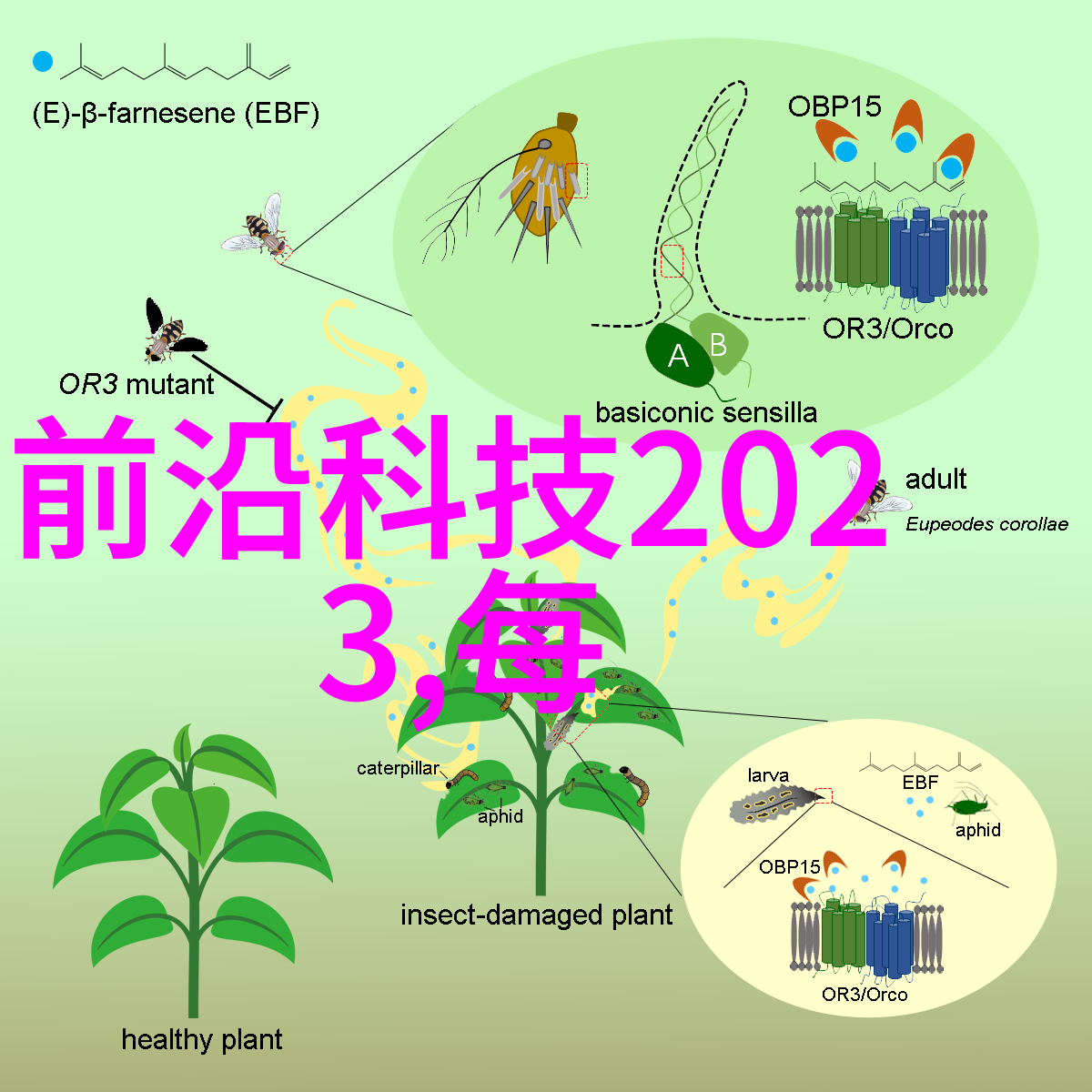 塑化新纪元深度解析三大基础化工原料在现代工业中的关键作用