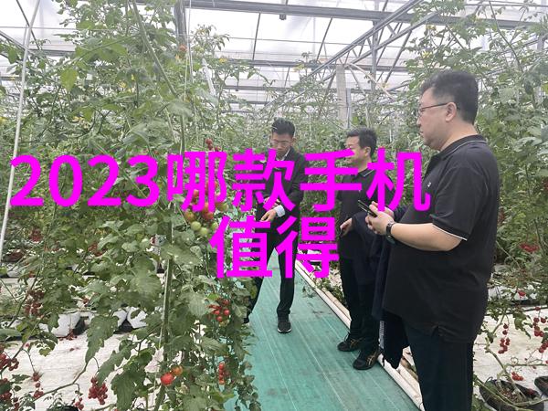 环保灶在厨房装修哪个先后美大集成环保灶如何选择合适的位置