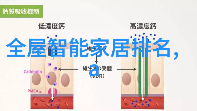 湖南现代物流职业技术学院我在这里找到了自己的路