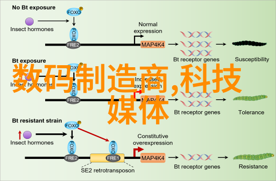 现代化办公室空间的创意设计与装修策略