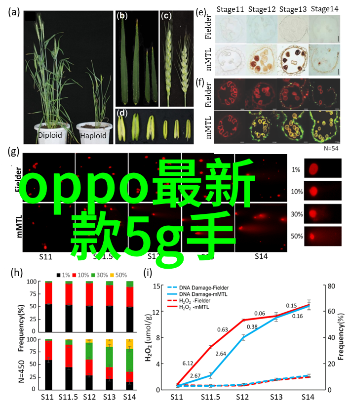 家居重塑探索装修的艺术与科技交融之美