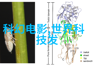 装修流程的详细步骤探究从规划到完工的系统性研究