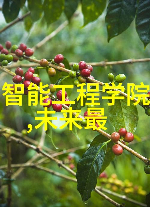 数码科技有限公司创新驱动技术引领未来数字化转型