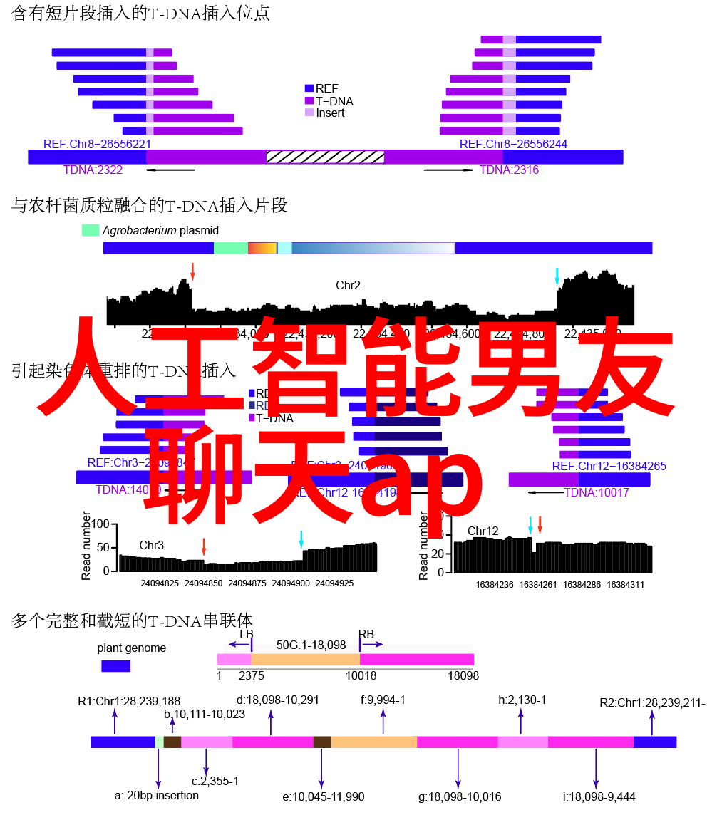 环境友好型工程利用不锈钢丝网填料提升效率